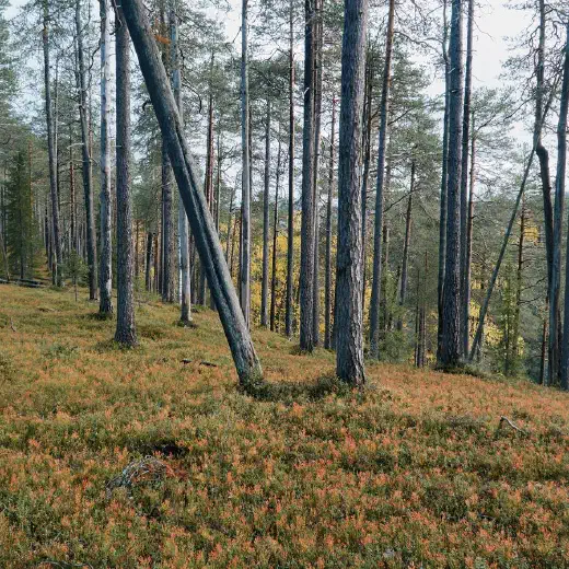 Do not use requirements.txt