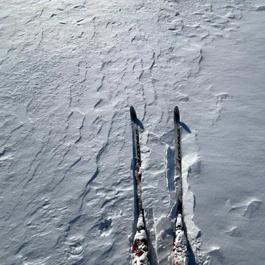 Speed up code with pi-autoresearch